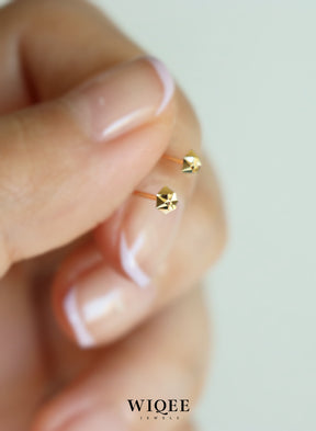 Sparkling  Tiny Gold Stud