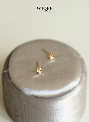 Sparkling  Tiny Gold Stud